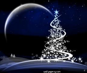 Christmas tree with lights hd wallpaper for laptop mobile