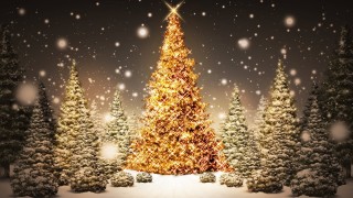 Christmas tree hd wallpaper for mobile laptop