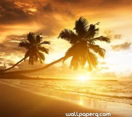 Amazing beach hd wallpaper for laptop