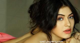 Hansika motwani hd wallpaper for mobile & laptop