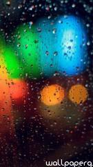 Colorful rainy grass hd wallpaper for mobile scree