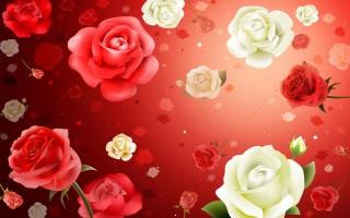 Roses hd widescreen