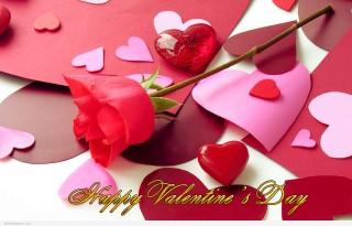 Roses and valentines day special hd wallpaper