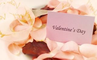 Sweet valentines day special hd wallpaper