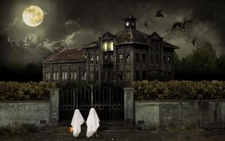 Halloween scary house hd 