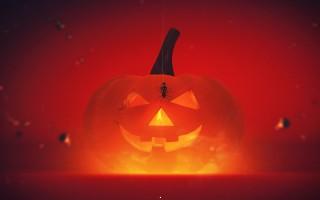 Happyhalloween hd wallpaper