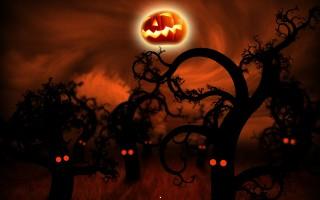 Midnight forest halloween hd wallpaper