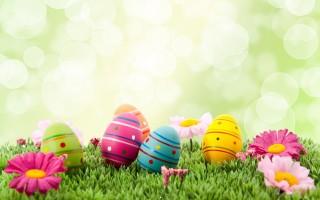 Beautiful easter eggs hd image