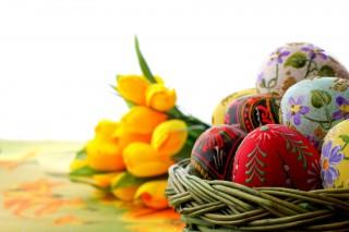 Easter eggs with flowers hd image