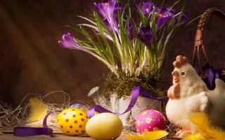 Easter hen hd wallpaper