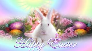 Cute easter greeting image