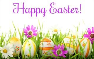 Greetings for easter hd image