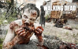 The walking dead hd wallpaper 2017