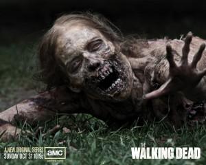 The walking dead hd wallp