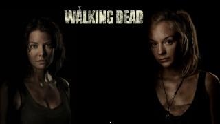 The walking dead hd wallpaper actors