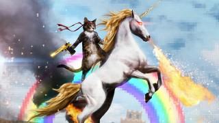 Cat riding a fire breathing unicorn