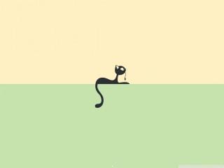 Cat usb wallpaper
