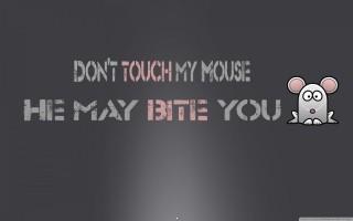 Dont touch my mouse wallp
