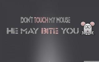 Dont touch my mouse wallpaper