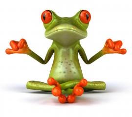 Frog in yoga