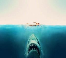 Jaws