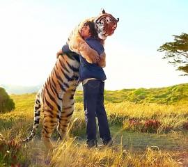 Tiger hug