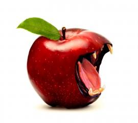 Wild apple