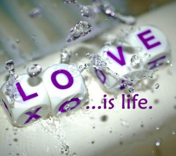 Love is life hd wallpaper for facebook