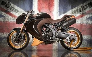 Vilner triumph speed triple bulldog