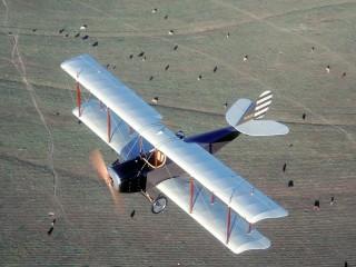 Early bird curtiss jenny(for frank)