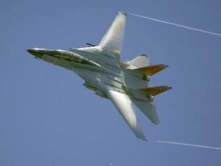 F 14 tomcat