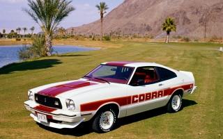 Ford computer wallpapers(33)
