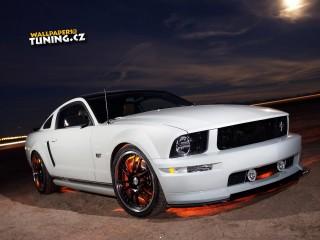 Ford mustang(1)