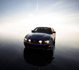 Ford mustang(2)