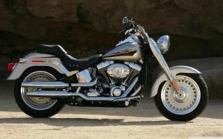 Harley davidson flstf fat