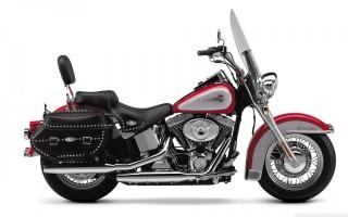 Harley davidson motorcycl