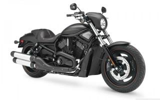 Harley davidson vrscdx night rod motorcycle 1 wall