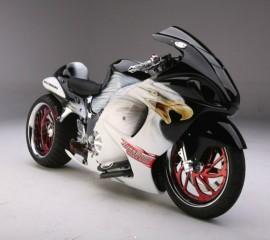 Hayabusa eagle