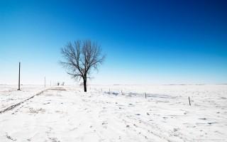 Alone in snow