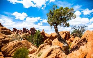 Arches national park