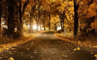 Autumn breeze