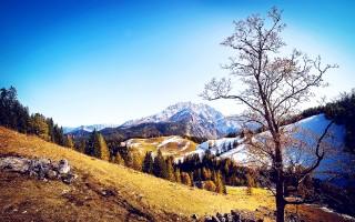 Autumn mountains