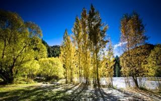 Autumn new zealand