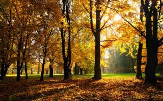 Autumn season