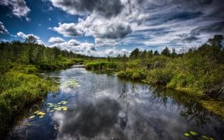 Beautiful stream