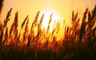Beautiful sun rise