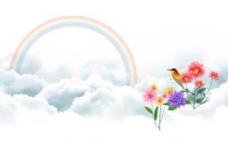 Bird and rainbow