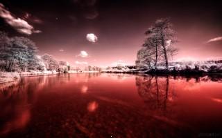 Bloody river