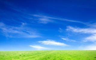 Blue sky and green grass