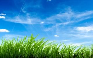 Blue sky green grass